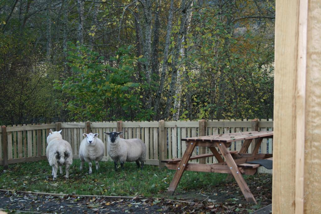Bcc Lochness Hostel Pods Bearnock Chambre photo