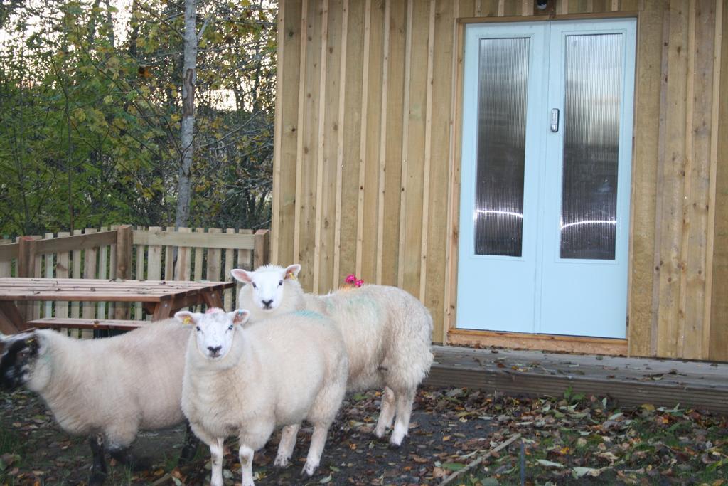 Bcc Lochness Hostel Pods Bearnock Chambre photo