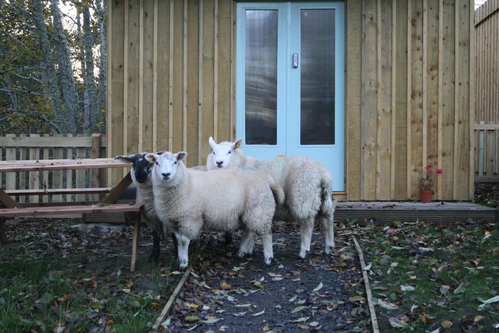 Bcc Lochness Hostel Pods Bearnock Chambre photo