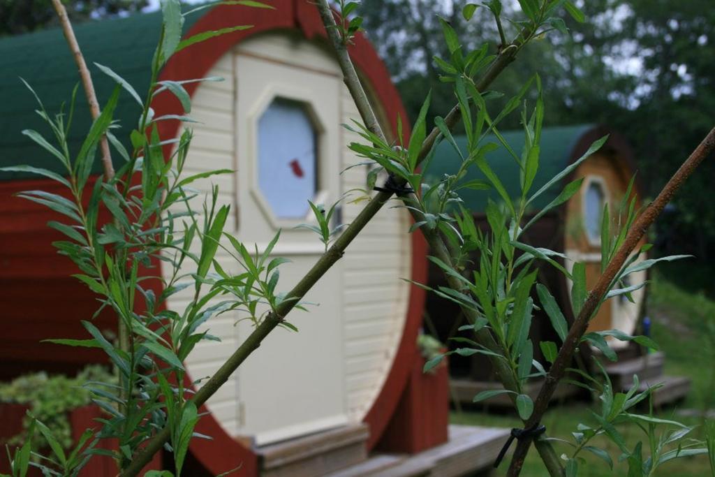 Bcc Lochness Hostel Pods Bearnock Chambre photo